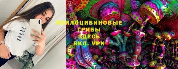 не бодяженный Арсеньев