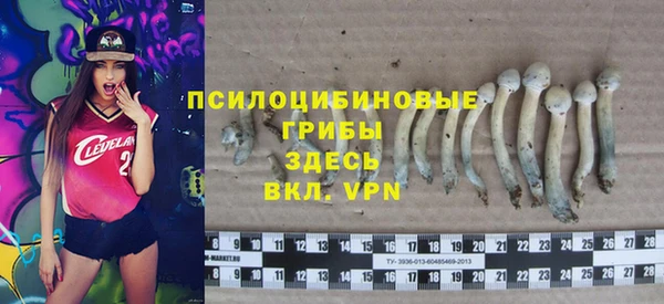 2c-b Баксан
