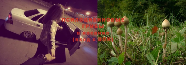 spice Балабаново